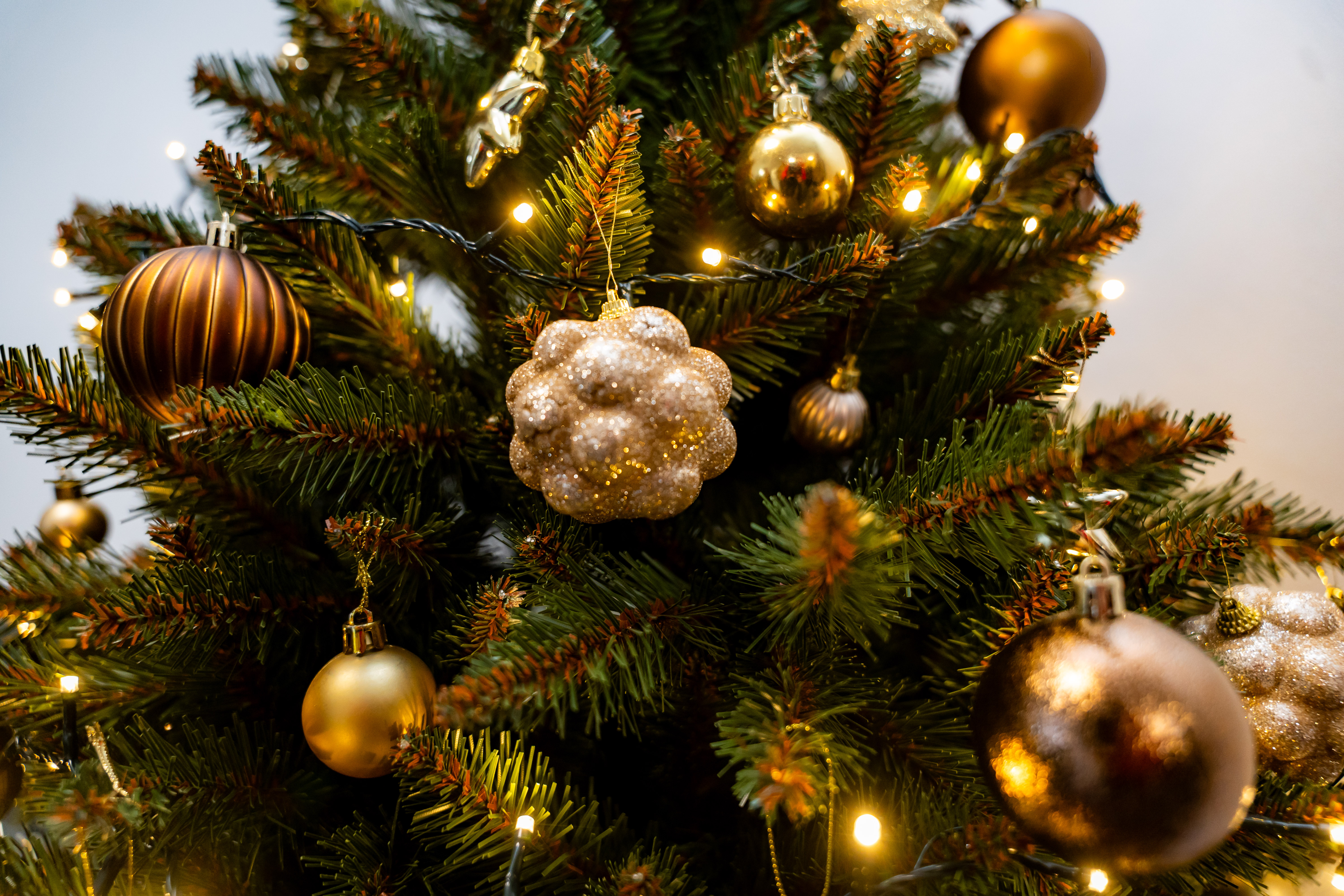 Odovzdanie socialneho bytu-33